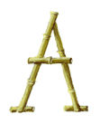 alphabet bambou