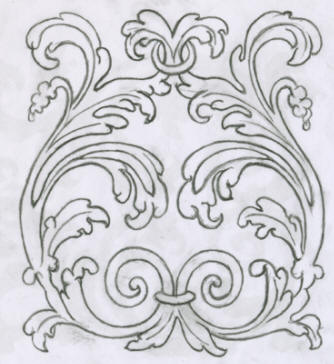 dessin sur calque du motif d'acanthe
