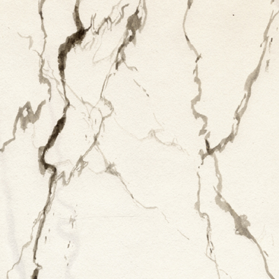 exemple d'un réseau de veines d'un marbre blanc de carrare