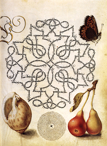 folio 118, mira calligraphiae monumenta, Joris Hoefnagel