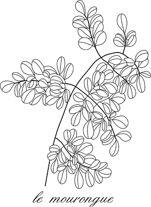 le mourongue, dessin de valérie laszlo